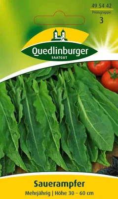 Zdjęcie produktu dla Quedlinburger Saatgut - Szczaw - Nasiona - 495442