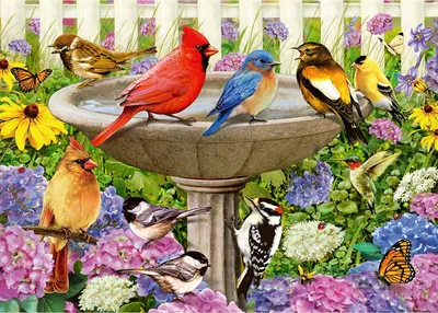 Produktbild von Ravensburger At the Birdbath, 500 Stück(e), Tiere, 9 Jahr(e)