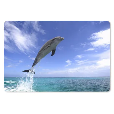 Produktbild von MuchoWow® Schreibtischunterlage Delfin - Meer - Himmel 60x40 cm - XXL Mauspad - Großes Mauspad