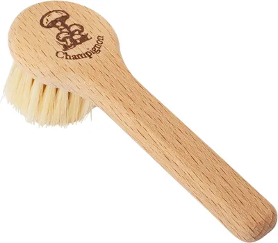 Produktbild von Champignonbürste mit Stiel aus geöltem Buchenholz