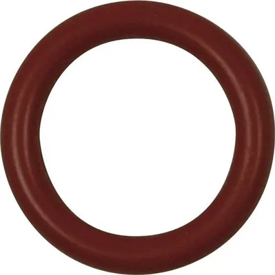 Image de DeLonghi 5332177500 Joint (mousseur à lait) 12mm. pour machines à café automatiques