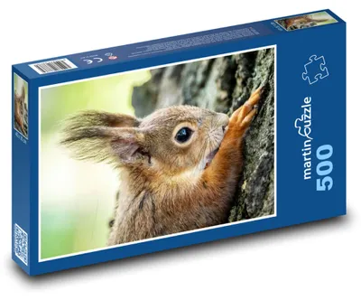 Zdjęcie produktu dla martinpuzzle - Puzzle 500 elementów - Veverka