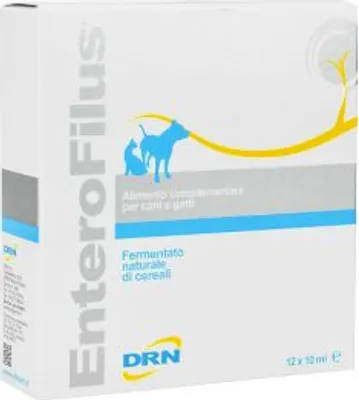Productafbeelding van Enterofilus, 12 flacons van 10 ml
