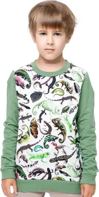 Immagine prodotto di Felpa da ragazzo Reptiles verde