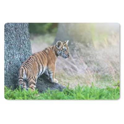 Produktbild von MuchoWow® Schreibtischunterlage Tigerjunges im Wald 60x40 cm - XXL Mauspad - Großes Mauspad