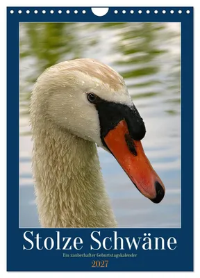 Produktbild von Stolze Schwäne (Wandkalender 2027 DIN A4 hoch), CALVENDO Monatskalender