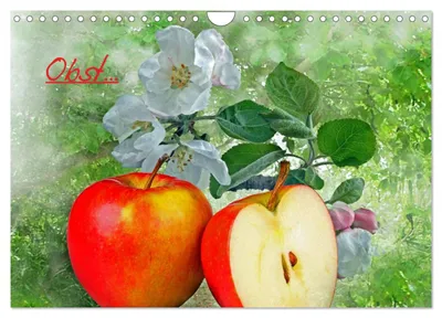 Produktbild von Obst (Wandkalender 2027 DIN A4 quer), CALVENDO Monatskalender