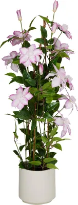 Zdjęcie produktu dla Sztuczny kwiat doniczkowy BLOMMA, 98 cm