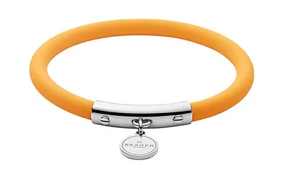 Obrázek produktu pro Šperky Skagen BLAKELY SKJ1281040 Dámský náramek