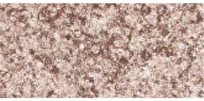 Imagen del producto de Essence - Sombra de ojos en paleta individual - 02 Silky Taupe