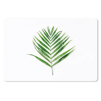 Produktbild von MuchoWow® Schreibtischunterlage Grün - Blatt - Tropisch 60x40 cm - XXL Mauspad - Großes Mauspad