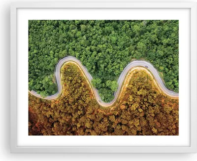 Produktbild von Gerahmtes Poster - Weißer Rahmen - Luftaufnahmen Weg Wald - 50x40 cm - Wand Bild - Wanddeko - Wandbilder - Kunstposter - Wandposter - Bilderrahmen - Bilder - Kunstdruck - P2WAA50x40-4659