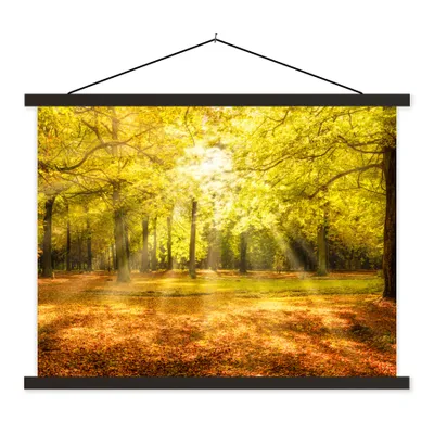 Produktbild von MuchoWow® Textilposter Baum - Natur - Sonne - Landschaft - Wald 150x113 cm mit schwarzem Rahmen - Wohnzimmer