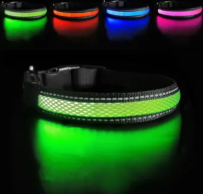 Produktbild von LED Hundehalsband – Leuchtendes Sicherheitshalsband in vielen Farben – USB wiederaufladbar, wasserdicht, 3 Leuchtmodi – Größen S, M, L GRÜN Größe S