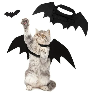 Obrázek produktu pro Kostým pro kočky a psy - netopýří kostým na Halloween