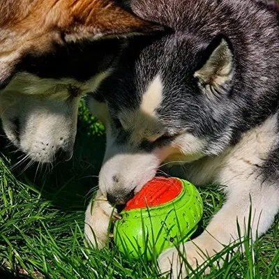 Zdjęcie produktu dla Zabawka dla psa rugby gumowa tpr do gryzienia szczeniaki 17 cm