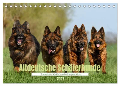Produktbild von Altdeutsche Schäferhunde - Traumhafte Schäferhunde Langstockhaar (Tischkalender 2027 DIN A5 quer), CALVENDO Monatskalender
