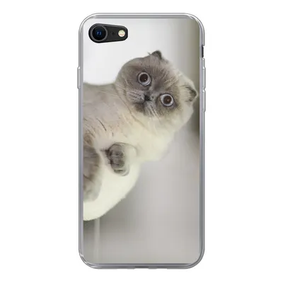 Produktbild von MuchoWow® Handyhülle Schutzhülle Hülle für iPhone 8 Katze - Tier - Wohnzimmer Silikon Softcase Handy Hülle - Schutzhaube