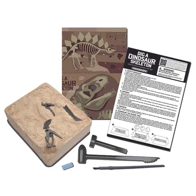 Image de Squelette de dinosaure - Triceratops
