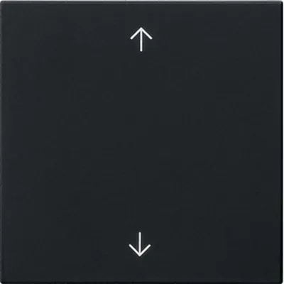 Produktbild von Gira Wippe 1-fach 5389005
