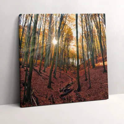 Produktbild von Sunset and trees – Leinwandbild Wandbild – 60x60 cm – Leinwandbilder – Wandbilder – Schlafzimmer – Flur