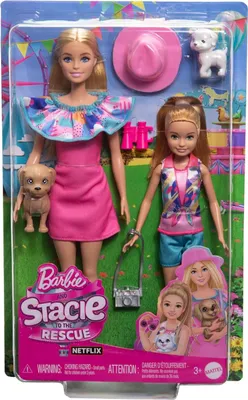 Productafbeelding van Barbie Familie & Vrienden, Stacie & Barbie, set van 2 poppen