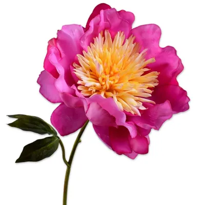 Produktbild von Silk-ka Seidenblume Pfingstrose Blüte Pink (56cm)