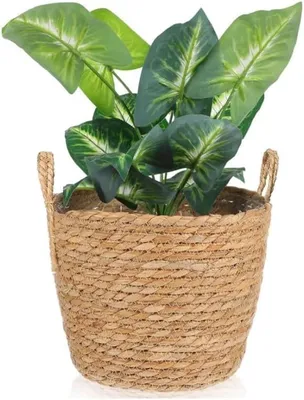 Produktbild von Geflochtkorb für Pflanzen aus Seegras, 25 cm