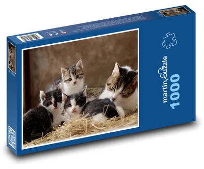 Obrázok produktu pre Puzzle 1000 Mačiatka na sene - martinpuzzle