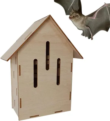 Produktbild von Fledermaushaus aus Holz für den Garten