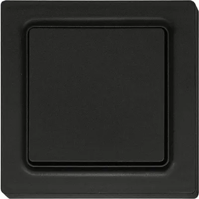 Immagine prodotto di Eltako Pulsante wireless ant/matt 55x55mm F2T55E-am (30055718)