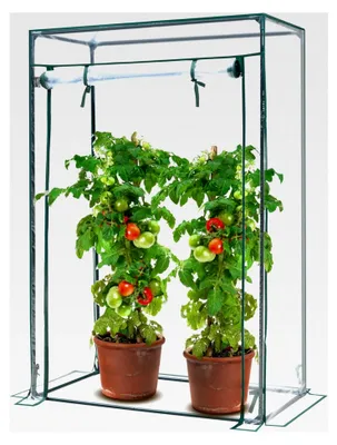 Produktbild von KANWOD Gewächshaus, Tomatengewächshaus mit aufrollbarer Tür, winterfest, stabil und einfach zu montieren, Treibhaus für Balkon, Terrasse, Garten, 150 x 100 x 50 cm, transparent