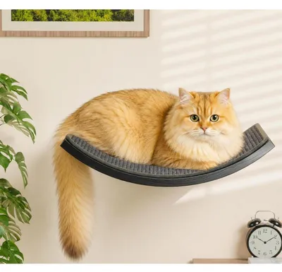 Produktbild von Katzen Kletterwand mit Sisal-Kratzmatte, Wandmontiertes Massivholz Regal, Grau