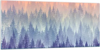 Produktbild von Bilder auf glas - Wald Baum Natur - 120x50cm - Glasbilder - Wandbilder - Kunstdruck - zum Aufhängen bereit - Wanddekoration aus Glas - Glas Bilder - Wandbild auf Glas - Einteilig - GAB120x50-3929