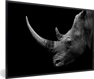 Produktbild von MuchoWow® Gerahmtes Poster Nashorn - Tiere - Schwarz - Weiß - Porträt 30x20 cm - Poster mit Schwarzem Bilderrahmen Wandposter Rahmen Foto Bilder - Kunstdruck - Bild-Poster