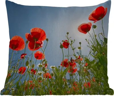Produktbild von MuchoWow® Outdoor Kissen - Strahlende Sonne über einigen Mohnblumen in Spanien - 40x40 cm - Wetterfest - Lounge Kissen - Kopfkissen - Interieur - Polster mit Bild