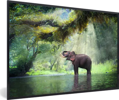 Produktbild von MuchoWow® MuchoWow® Gerahmtes Poster Dschungel - Elefant - Wasser 60x40 cm - Poster mit zchwarzem Bilderrahmen - Printing - Wanddeko Schlafzimmer