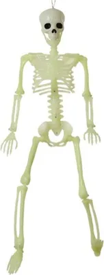 Obrázek produktu pro Halloweenská dekorace kostra 82 cm bílá