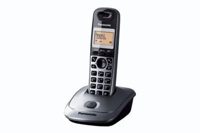 Zdjęcie produktu dla Panasonic KX-TG2511, Telefon w systemie DECT, Zestaw słuchawkowy bezprzewodowy, Głośnik, 50 wejścia, Nazwa i identyfikacja dzwoniącego, Tytan