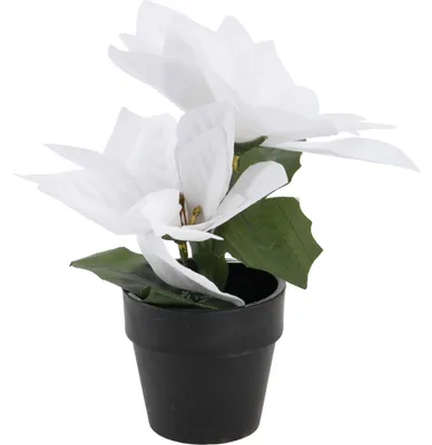 Obrázok produktu pre Umelá betlehemská hviezda v kvetináči, výška 18 cm