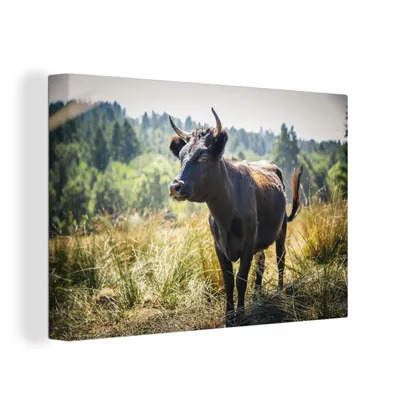 Produktbild von OneMillionCanvasses® - Leinwandbilder - 150x100 cm, Ein Stier in einem gelben Feld, Wandbilder Kunstdruck Wanddekoration