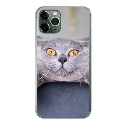 Produktbild von MuchoWow® Handyhülle Schutzhülle Hülle für iPhone 11 Pro Katze - Angst - Stuhl Silikon Softcase Handy Hülle - Handy