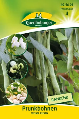 Artikelbild 2 von 'Prunkbohne Weisse Riesen' aus der Kategorie Prunkbohnensamen