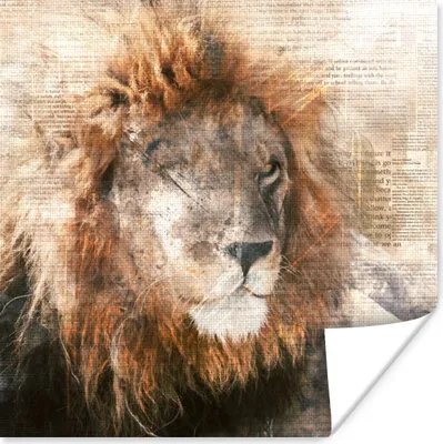 Produktbild von MuchoWow® Poster Löwe - Zeitung - Farben 30x30 cm - Wandposter - Printing