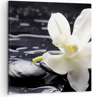 Produktbild von Bild auf Leinwand - Leinwandbild - Spa Orchidee Steine Wasser - 60x60cm - Wand Bild - Wanddeko - Leinwanddruck - Bilder - Kunstdruck - Wanddekoration - Leinwand bilder - Wandkunst - AC60x60-0444