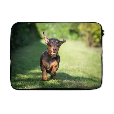 Produktbild von MuchoWow® Laptop Hülle 13 Zoll Ein sprintender Dackel Laptoptasche - Laptophülle - Sleeve - Rundumschutz