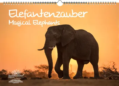 Produktbild von Elefantenzauber Immerwährender Kalender DIN A3 Elefanten - Seelenzauber