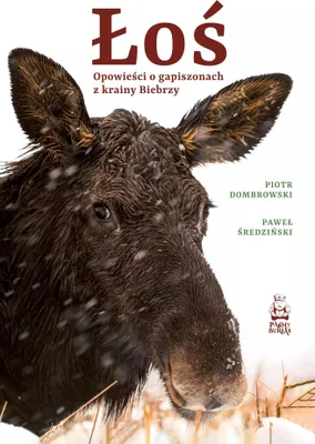 Productafbeelding van Geschichten aus dem Gapiszon in der Biebrza-Region