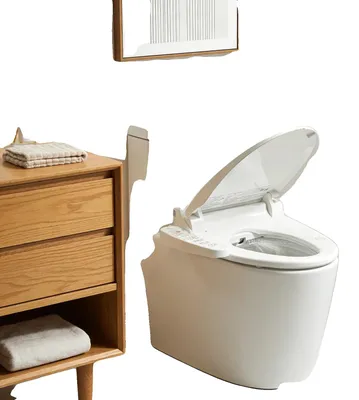 Zdjęcie produktu dla Deska sedesowa z funkcją bidetu, regulowana temperatura wody, suszarka na ciepłe powietrze, stopień wodoodporności IPX4, wymiary 45 × 52 × 16 cm, maksymalna moc 1350 W