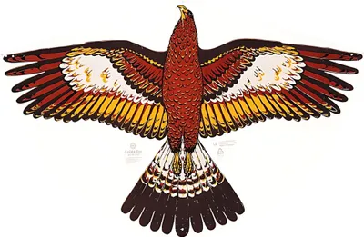Immagine prodotto di Aquilone monofilo Delta GoldadlerPE 92x62 4+